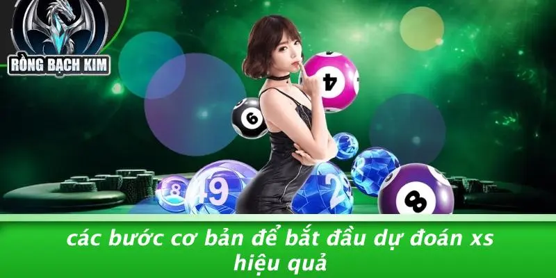 Các Bước Cơ Bản Để Bắt Đầu Dự Đoán XS Hiệu Quả