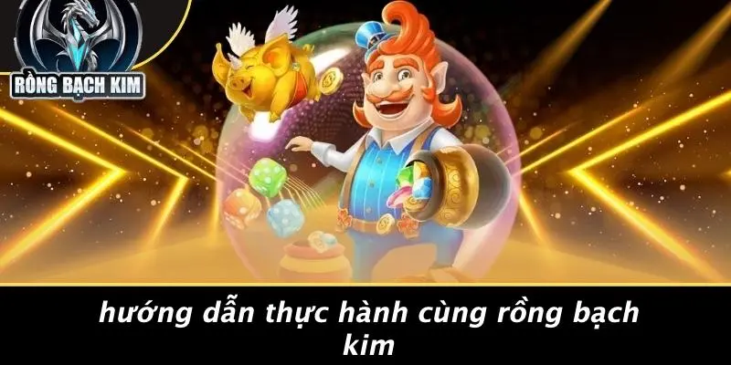 Hướng Dẫn Thực Hành Cùng Rồng Bạch Kim