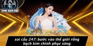 SOI CẦU 247: BƯỚC VÀO THẾ GIỚI RỒNG BẠCH KIM CHINH PHỤC SÒNG