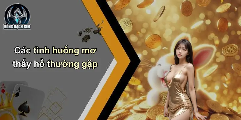 Các tình huống mơ thấy hổ thường gặp