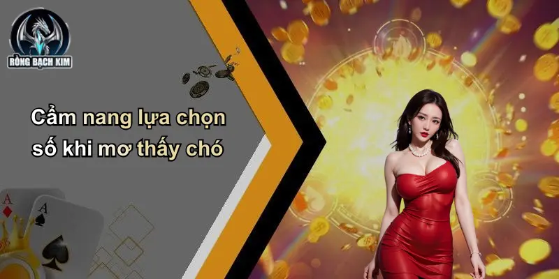 Cẩm nang lựa chọn số khi mơ thấy chó