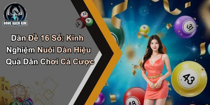 Dàn Đề 16 Số: Kinh Nghiệm Nuôi Dàn Hiệu Quả Dân Chơi Cá Cược