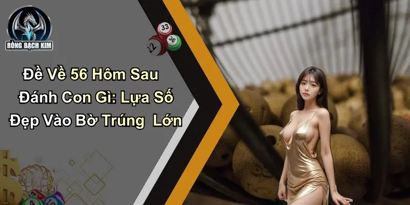 Đề Về 56 Hôm Sau Đánh Con Gì: Lựa Số Đẹp Vào Bờ Trúng Lớn