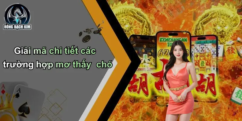 Giải mã chi tiết các trường hợp mơ thấy chó