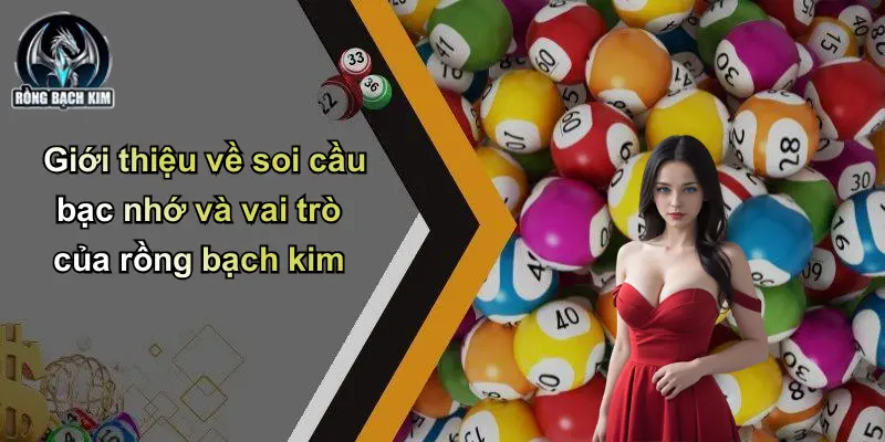 Giới thiệu về soi cầu bạc nhớ và vai trò của rồng bạch kim