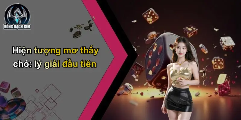 Hiện tượng mơ thấy chó: lý giải đầu tiên
