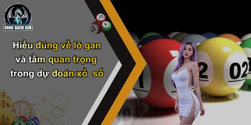 Hiểu đúng về lô gan và tầm quan trọng trong dự đoán xổ số