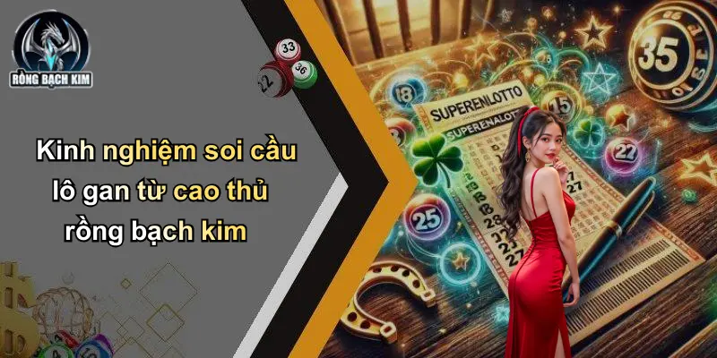 Kinh nghiệm soi cầu lô gan từ cao thủ rồng bạch kim