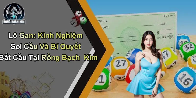 Lô Gan: Kinh Nghiệm Soi Cầu Và Bắt Cầu Tại Rồng Bạch Kim