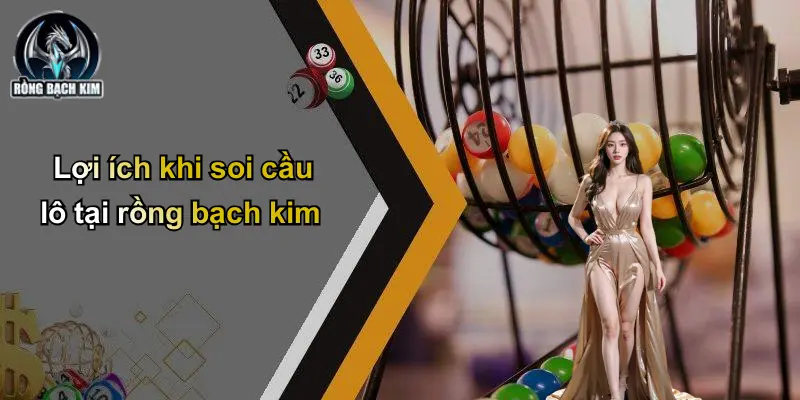 Lợi ích khi soi cầu lô tại rồng bạch kim