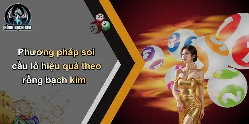 Phương pháp soi cầu lô hiệu quả theo rồng bạch kim