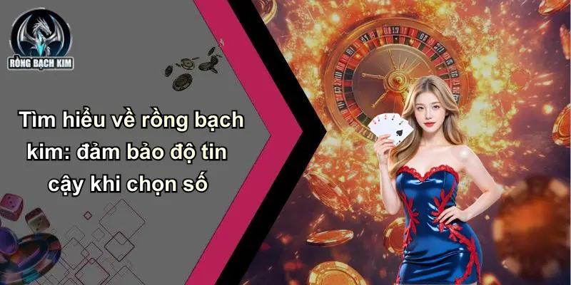 Tìm hiểu về rồng bạch kim: đảm bảo độ tin cậy khi chọn số