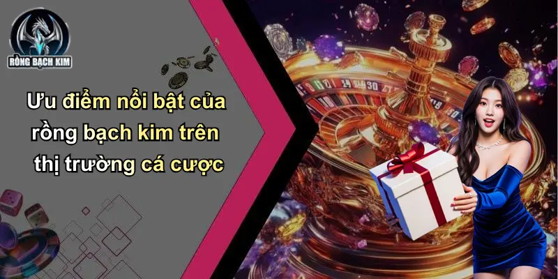 Ưu điểm nổi bật của rồng bạch kim trên thị trường cá cược