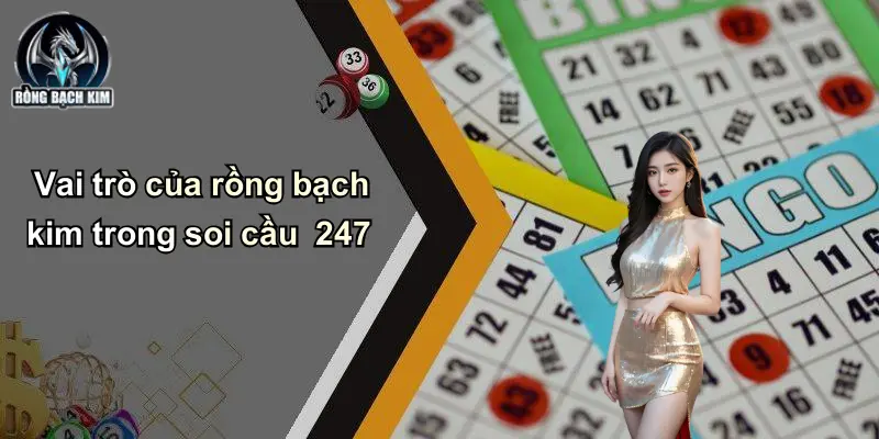 Vai trò của rồng bạch kim trong soi cầu 247