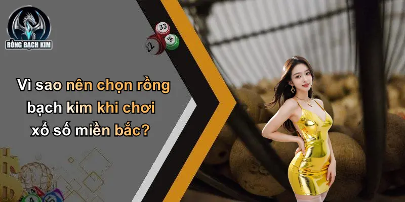 Vì sao nên chọn rồng bạch kim khi chơi xổ số miền bắc?