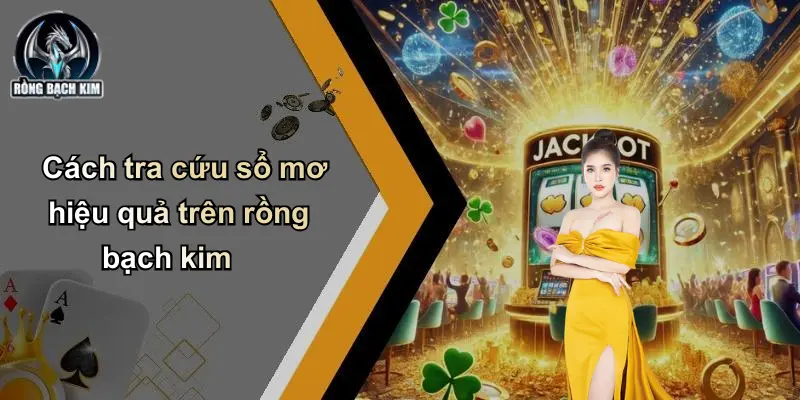 Cách tra cứu sổ mơ hiệu quả trên rồng bạch kim