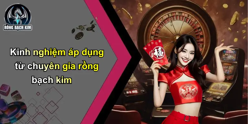Kinh nghiệm áp dụng từ chuyên gia rồng bạch kim