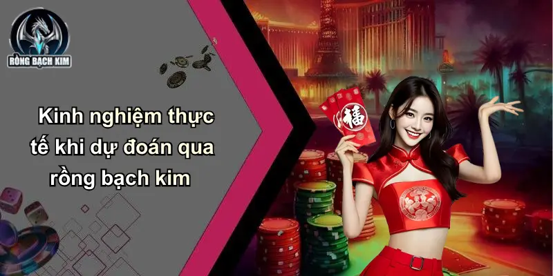 Kinh nghiệm thực tế khi dự đoán qua rồng bạch kim