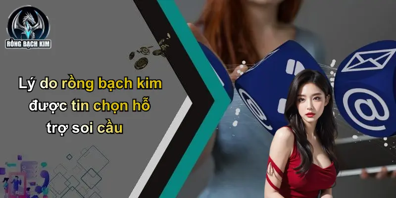 Lý do rồng bạch kim được tin chọn hỗ trợ soi cầu