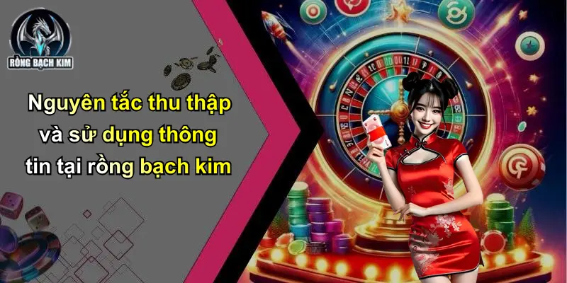 Nguyên tắc thu thập và sử dụng thông tin tại rồng bạch kim