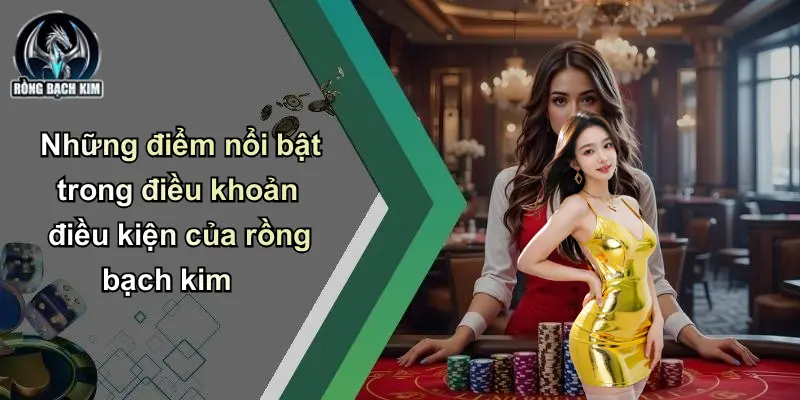 Những điểm nổi bật trong điều khoản điều kiện của rồng bạch kim