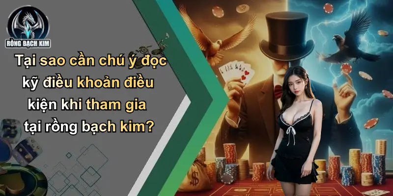 Tại sao cần chú ý đọc kỹ điều khoản điều kiện khi tham gia tại rồng bạch kim?