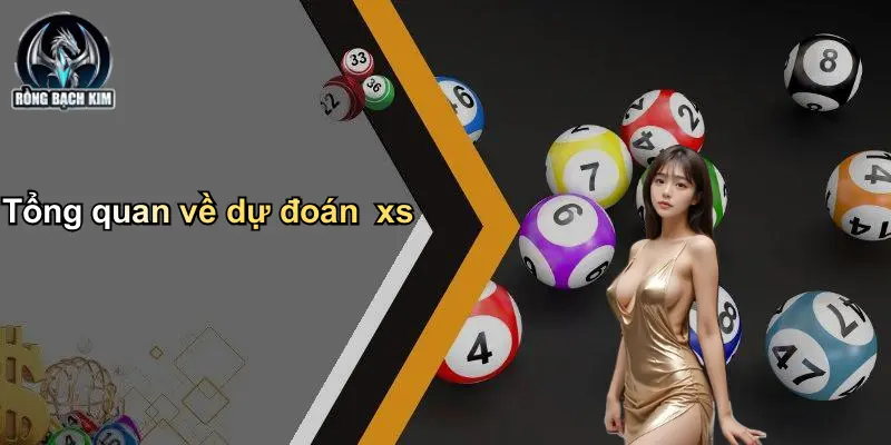 Tổng quan về dự đoán xs