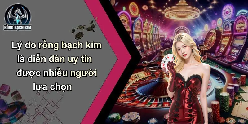 Lý do rồng bạch kim là diễn đàn uy tín được nhiều người lựa chọn